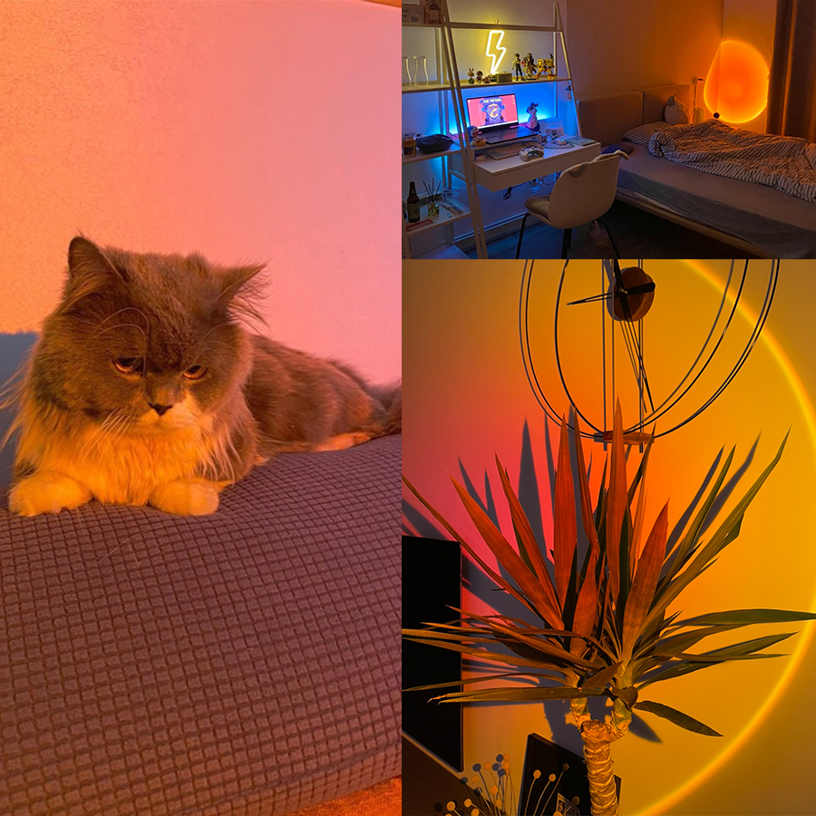Smart Sunset Lamp Tuya LED Nig - Photography Lighting App recension och pris