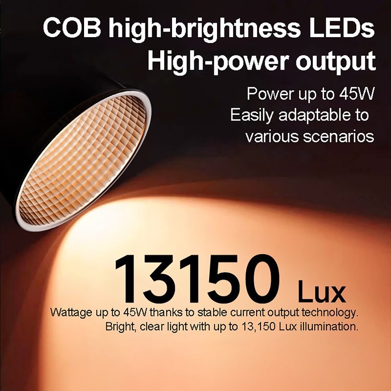 60W RGB Video Light Portable L - Photography Lighting Background recension och pris