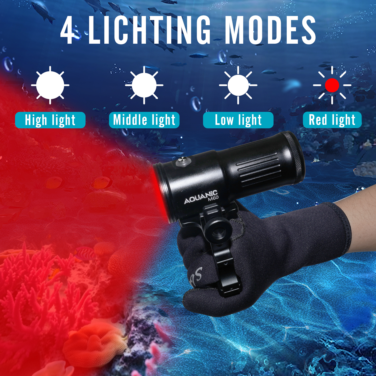 Nitescuba professional diving  - Photography Types Of Lighting recension och pris