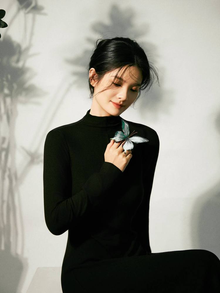 New Simple Chinese Style High- - Photography Lighting Style recension och pris