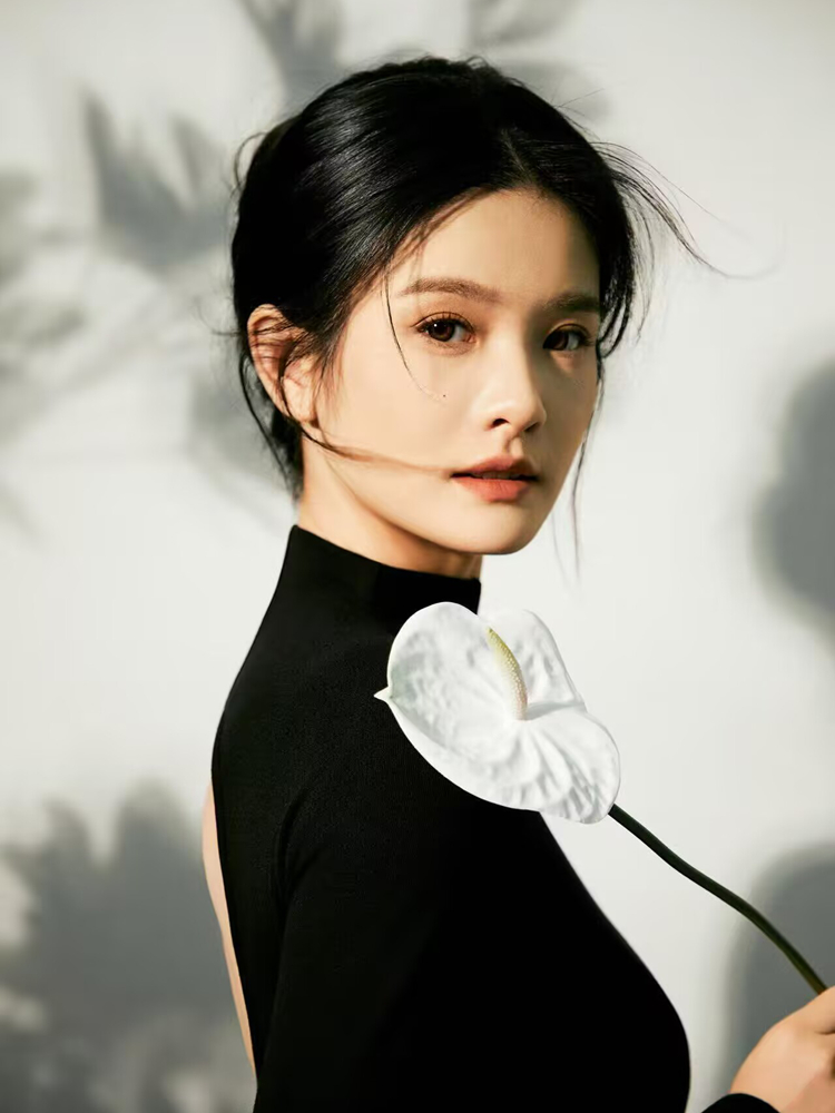 New Simple Chinese Style High- - Photography Lighting Style recension och pris